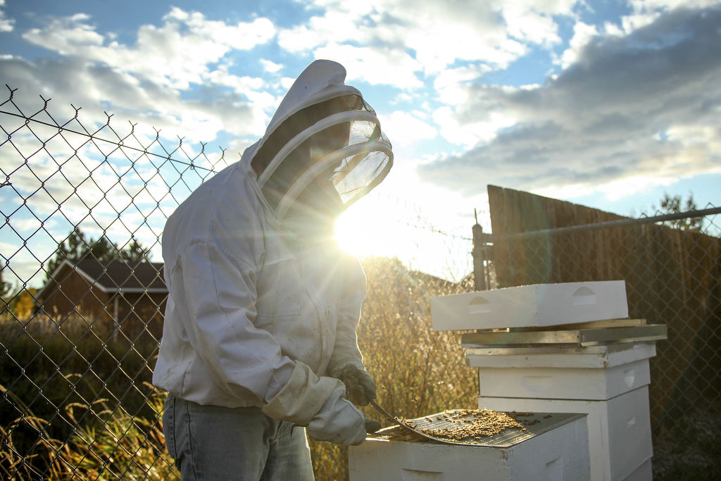 Harrisville neighbors step into a world of beekeeping News, Sports